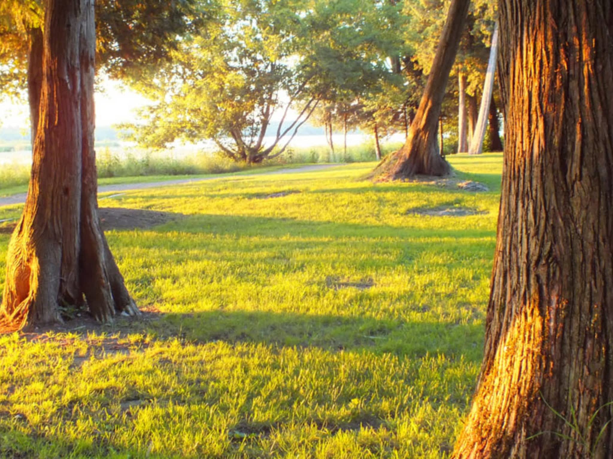 photo Lakefield Campgrounds