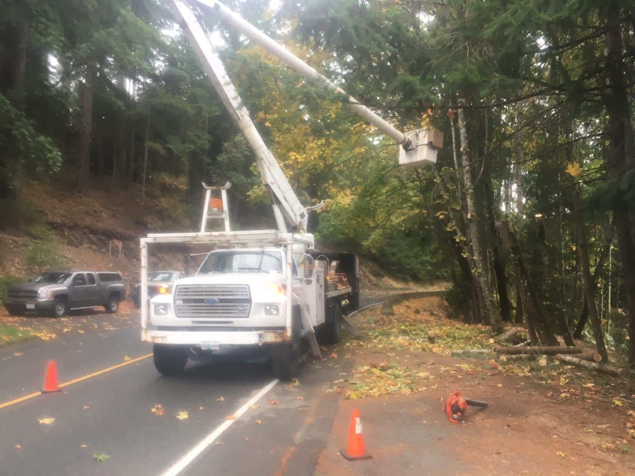 photo Competition Tree Service