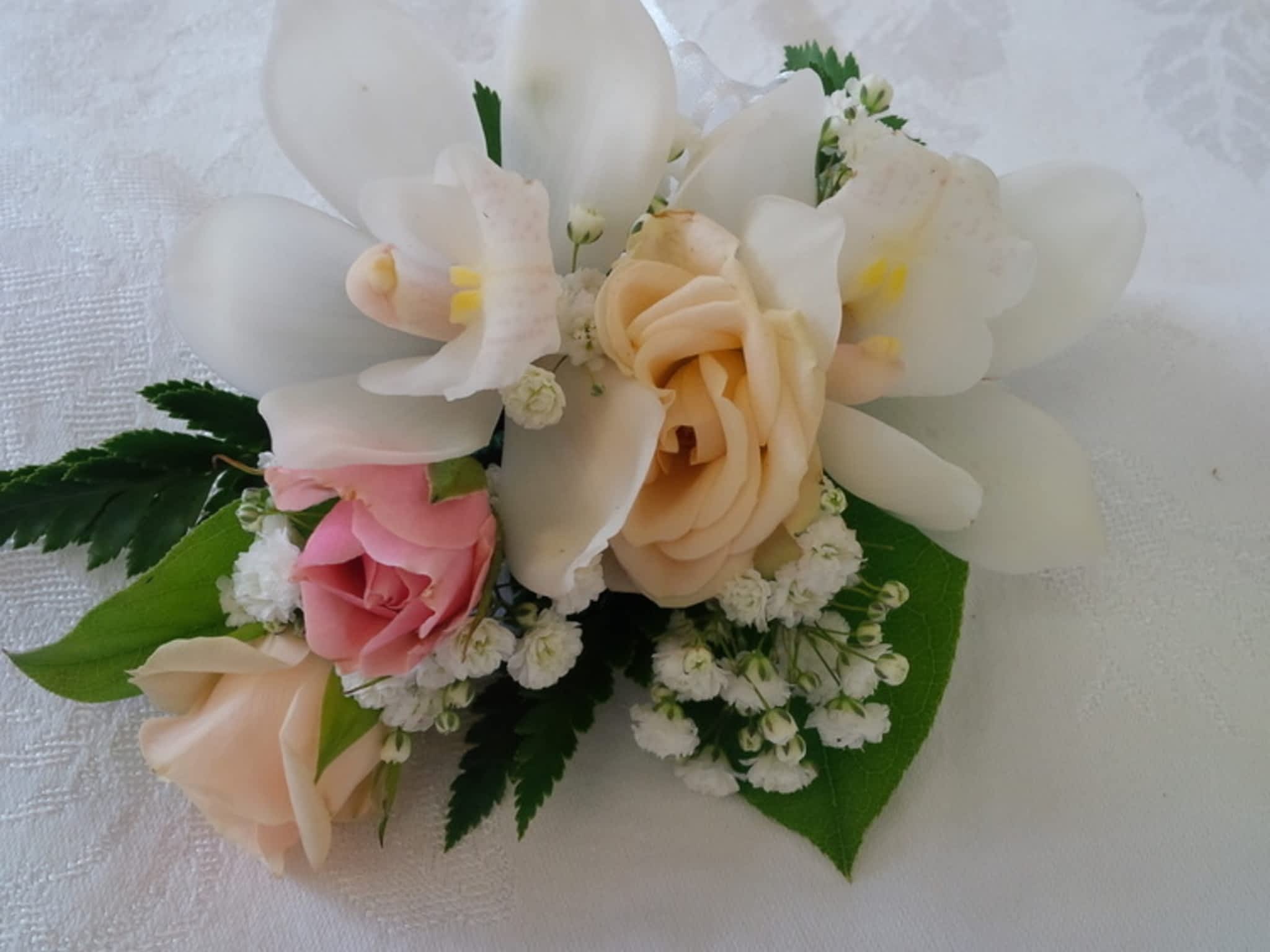 photo Sweetpea & Willow