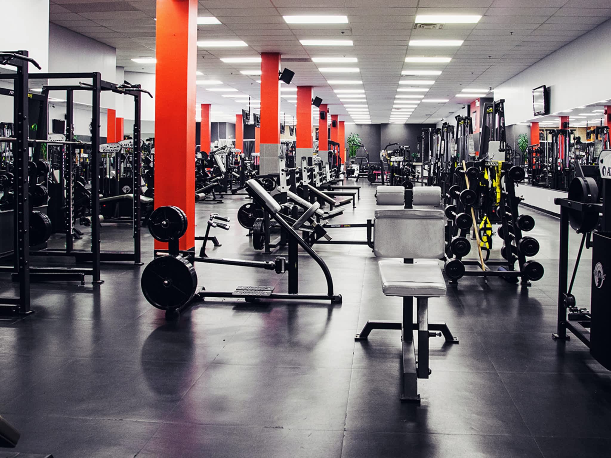 photo Conditionnement Flex