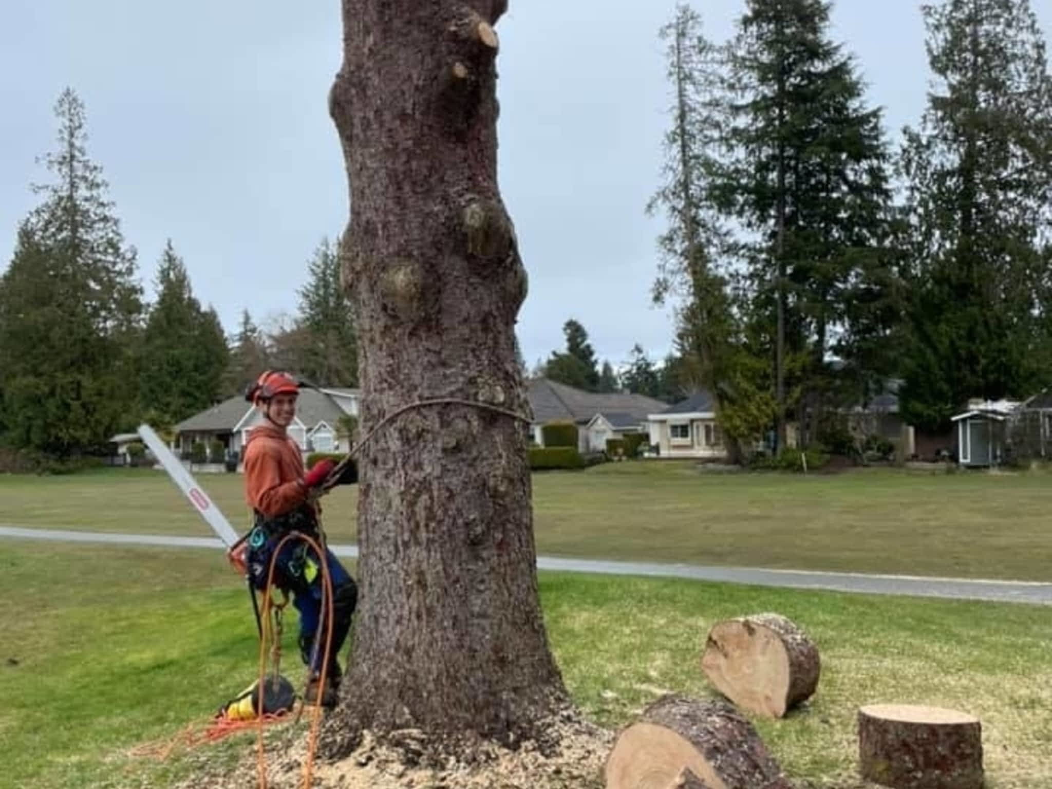 photo Flex Tree Service