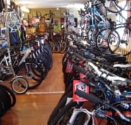 fraser bike store