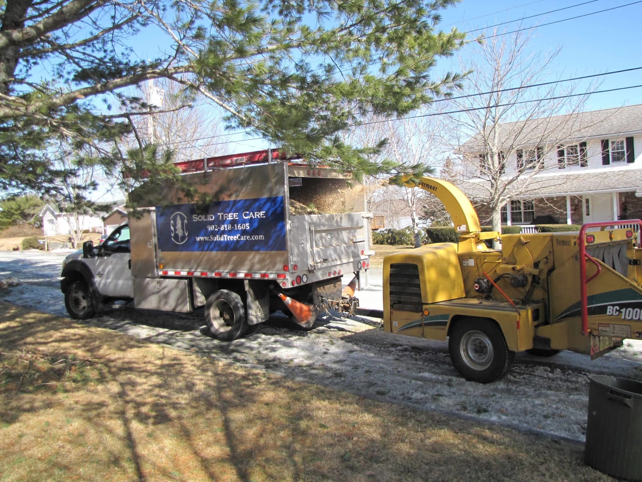 photo Solid Tree Care
