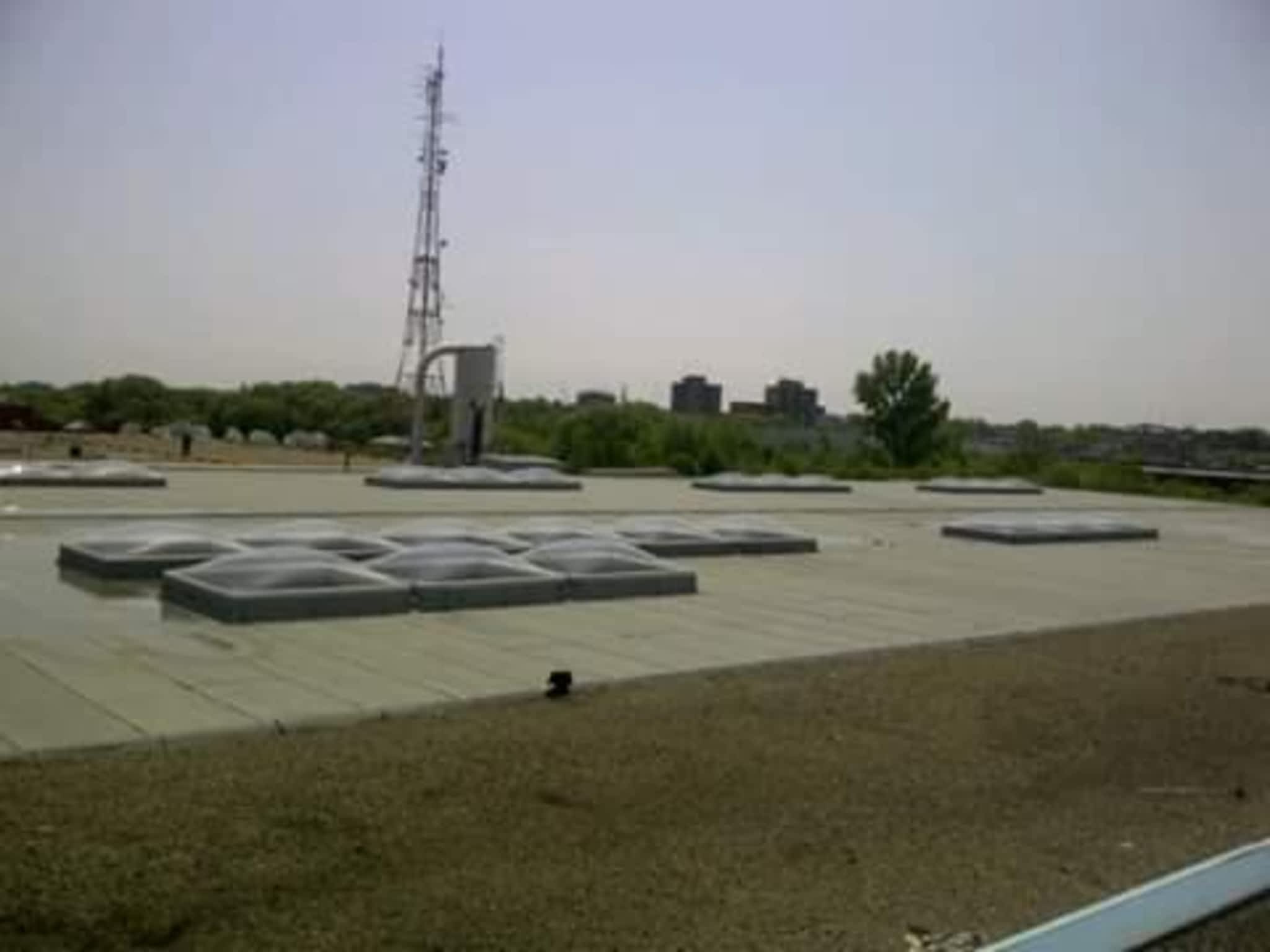 photo Roofed it Renos