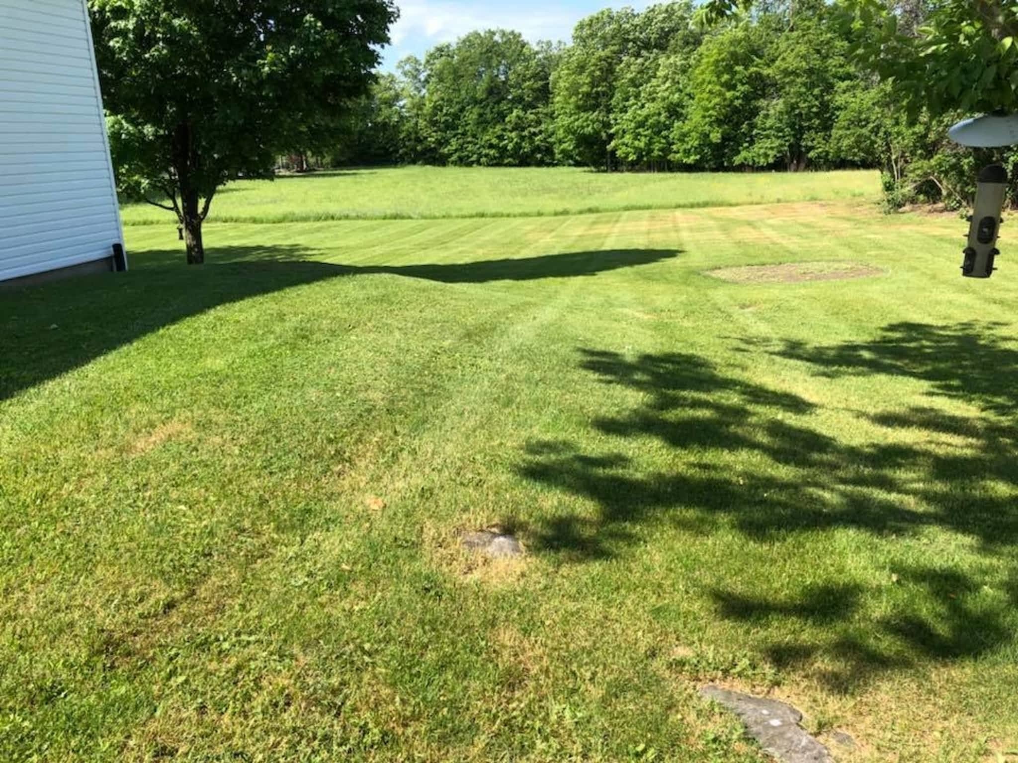 photo Breadman Property Care