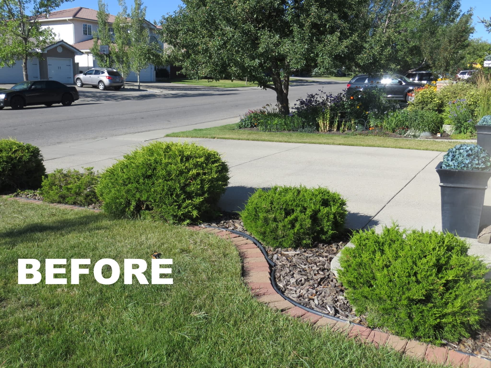 photo A Preferred Cut Landscaping