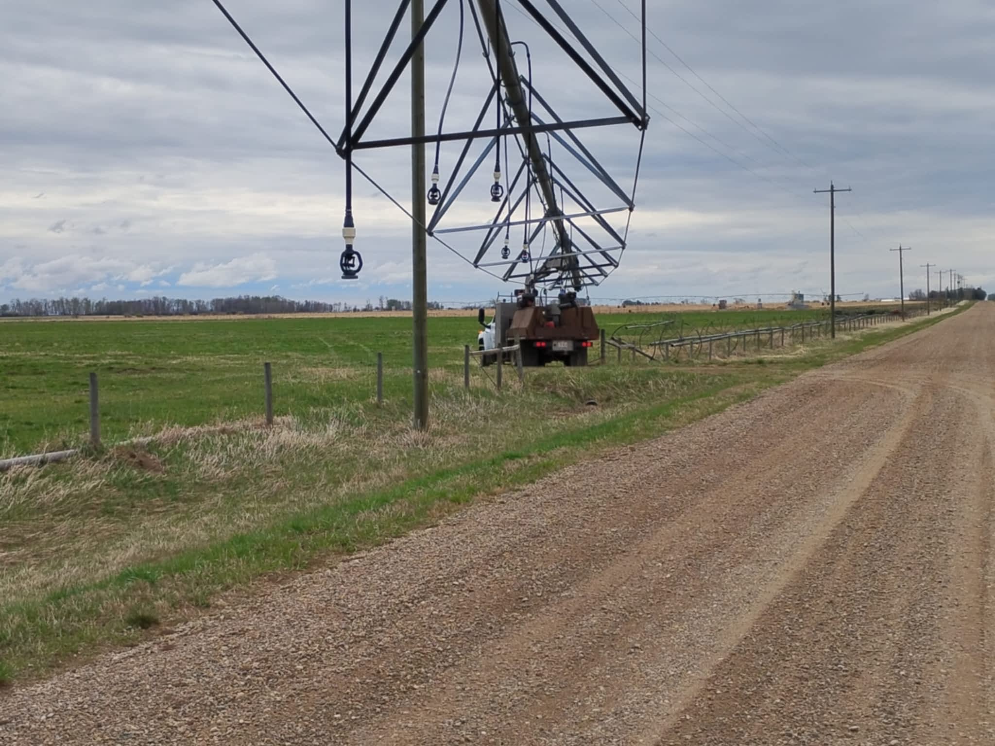 photo Owl Mechanical