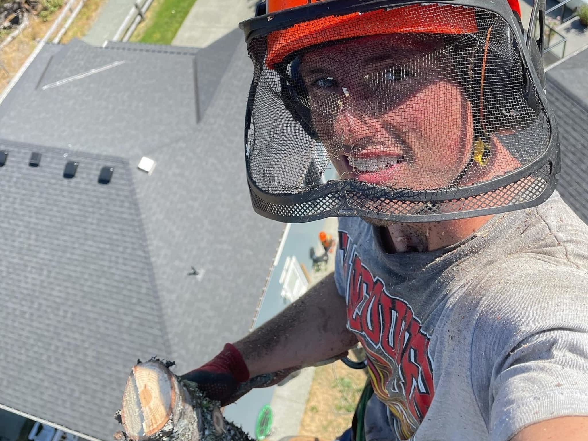 photo Flex Tree Service