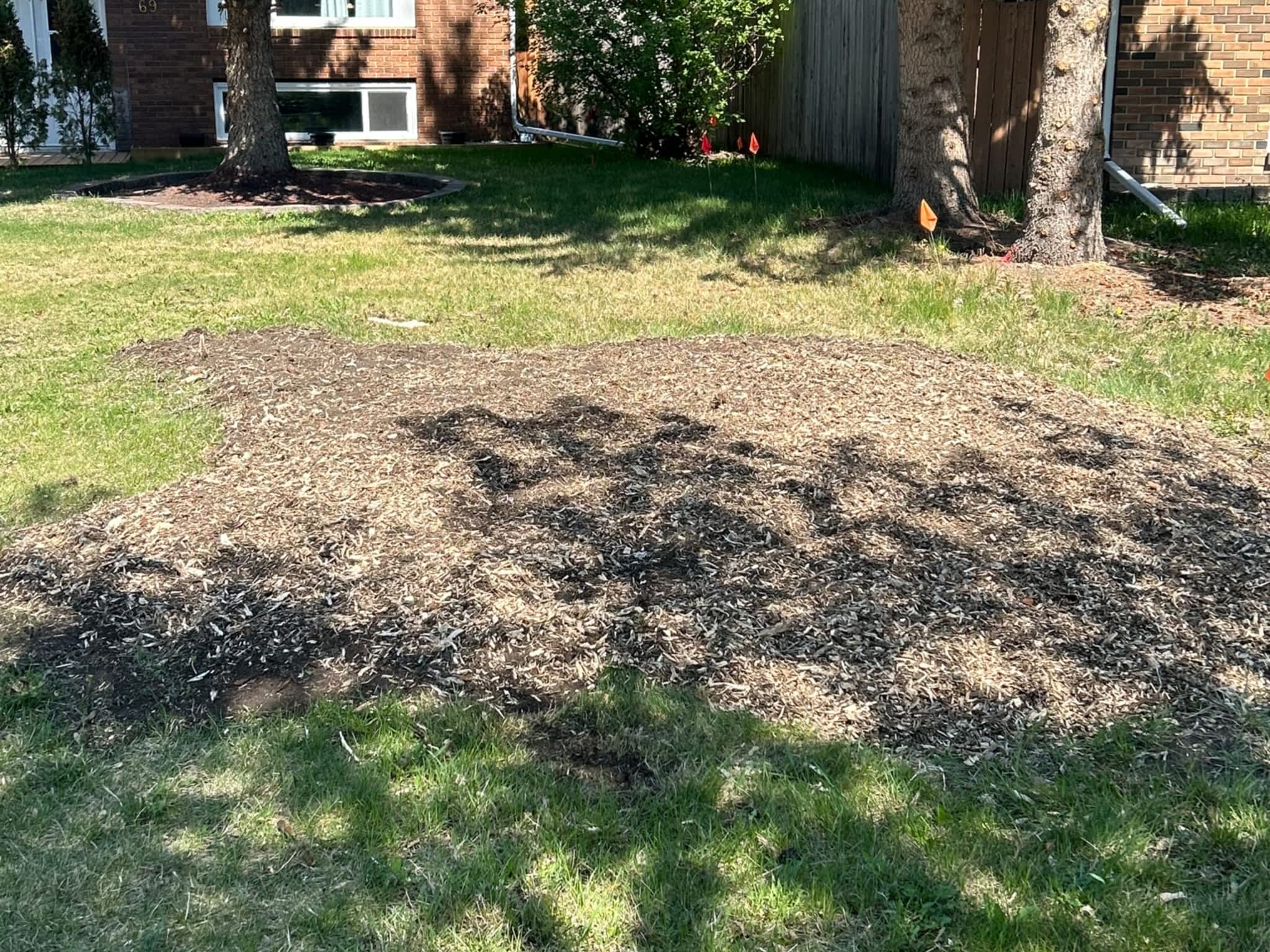 photo Grindpro tree stump grinding