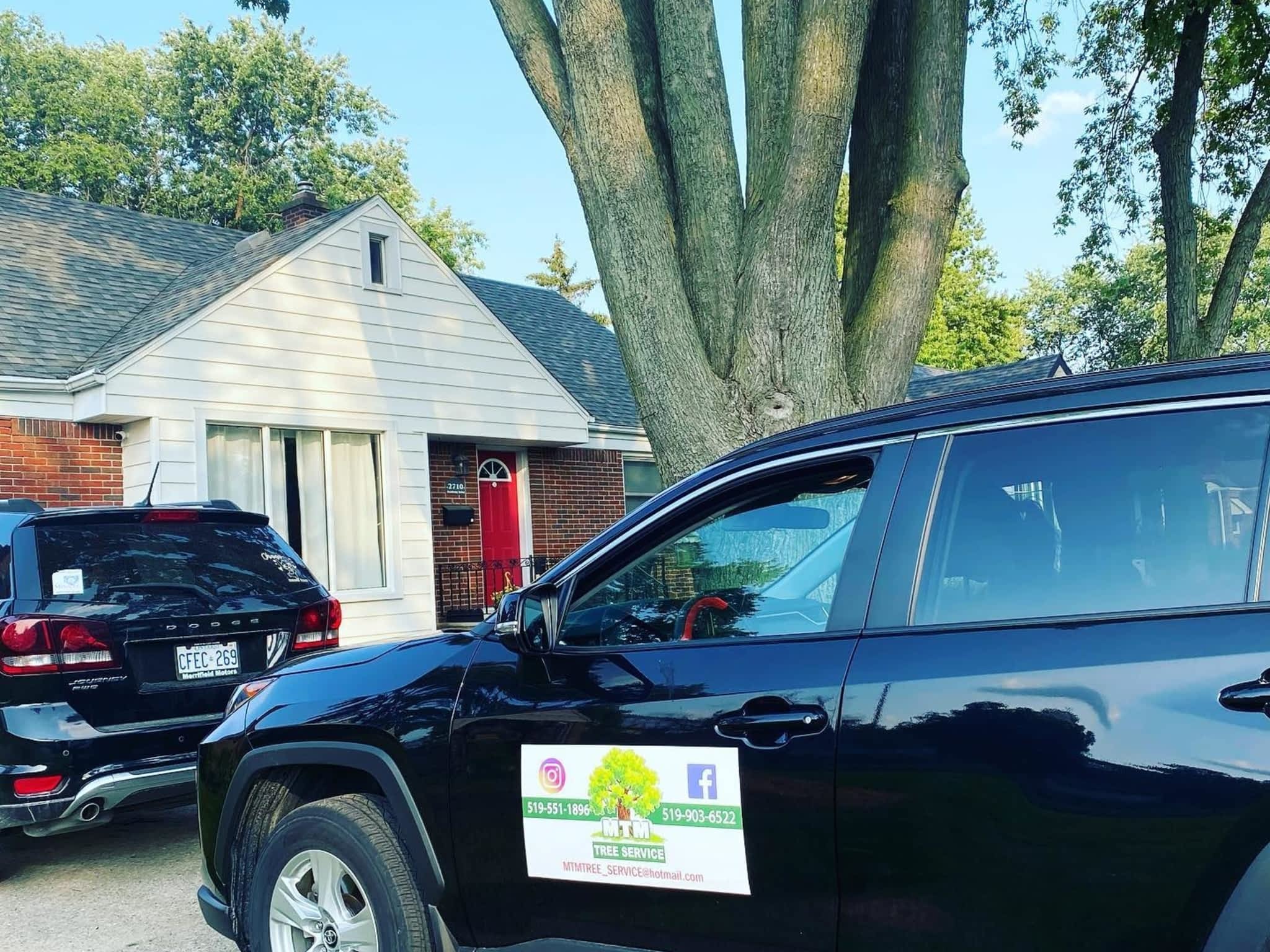 photo MTM Tree Service