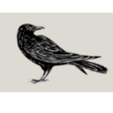 Raven Book Design - Graphistes