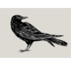 Raven Book Design - Graphic Designers