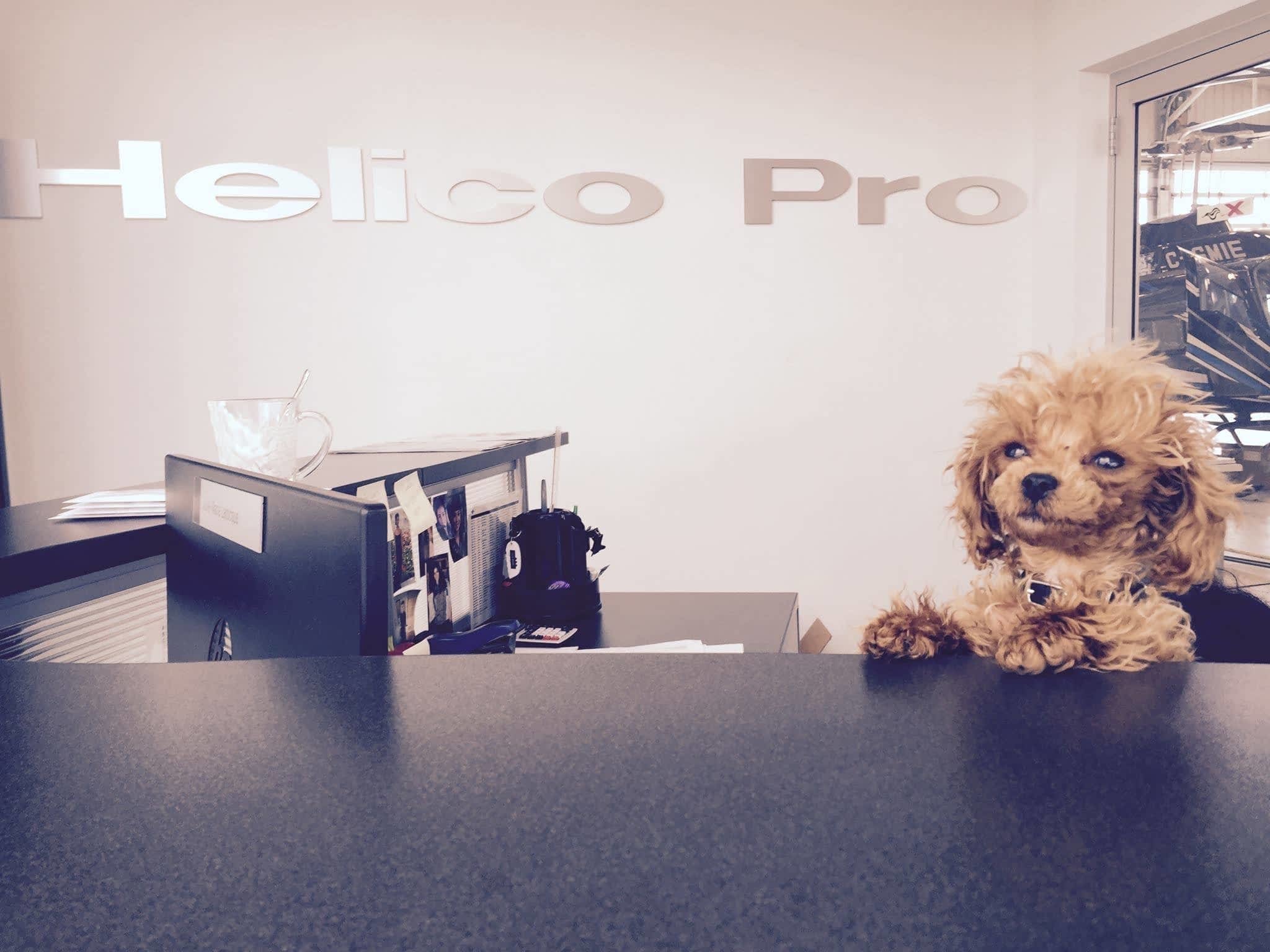 photo Helico Pro