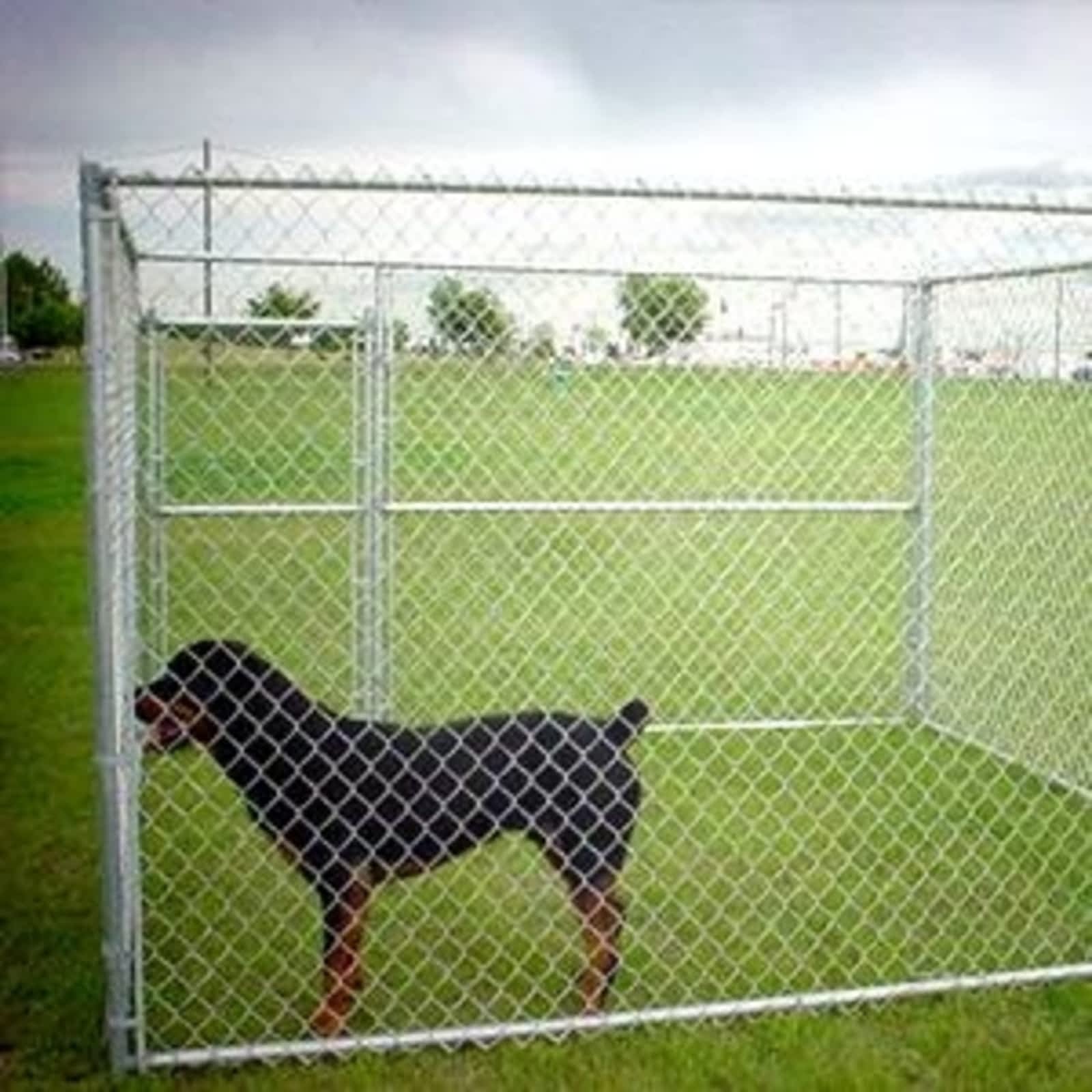 dog fence ltd