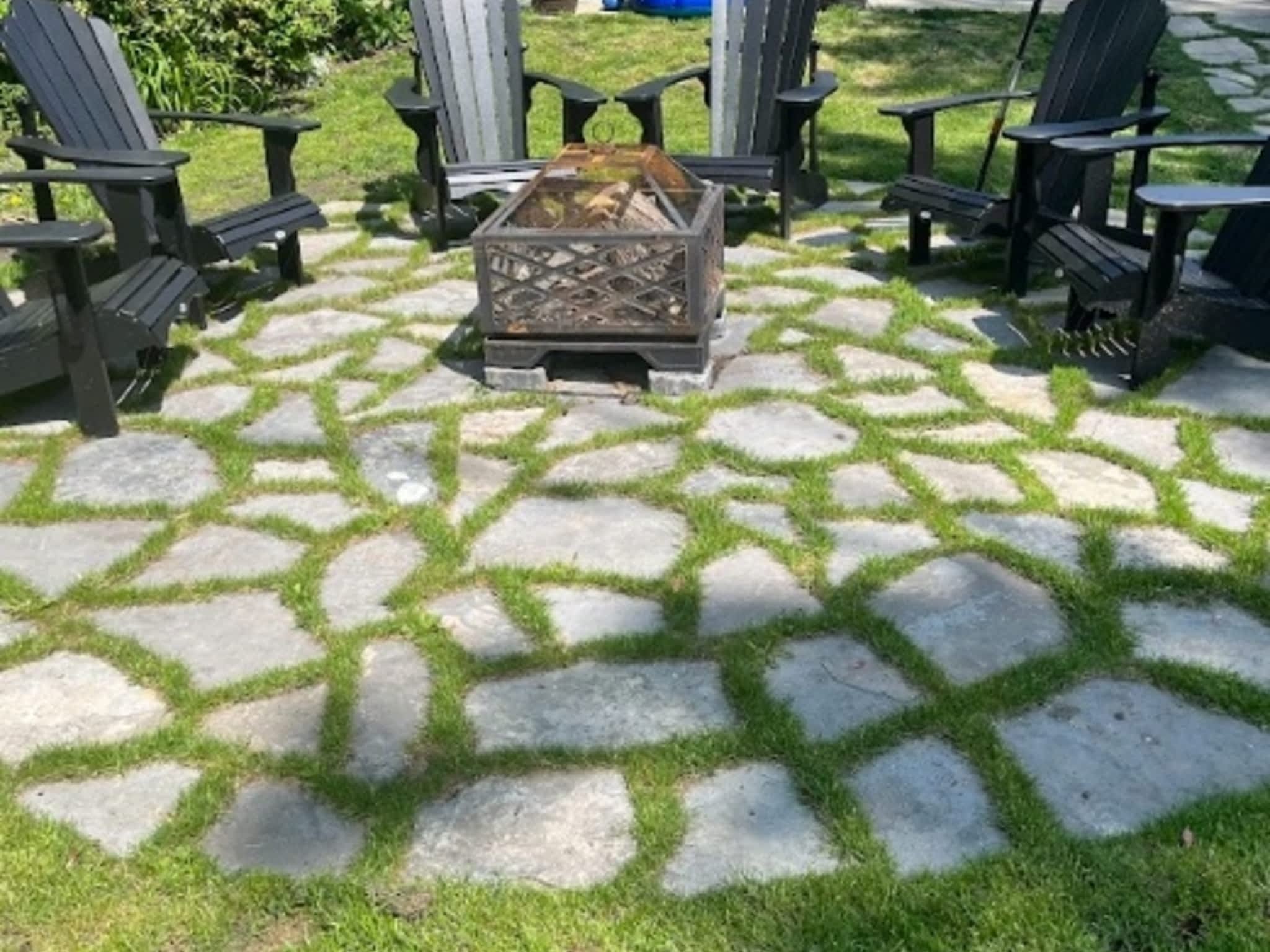 photo Primal Patch Landscaping