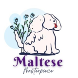 Voir le profil de Maltese Masterpiece - Unionville