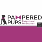 Pampered Pups - Pet Care Services