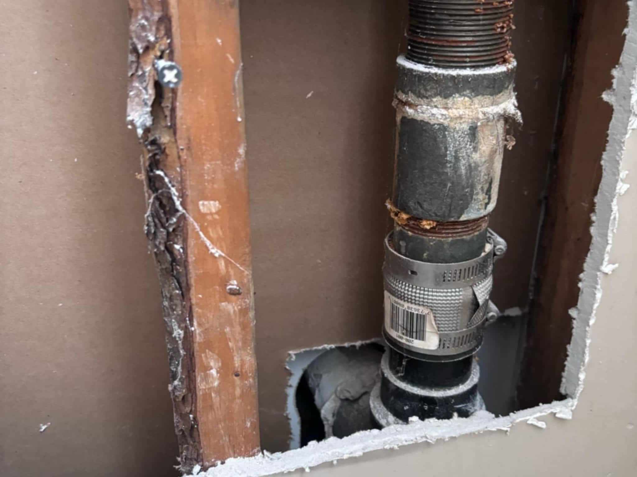 photo D Solution Extermination