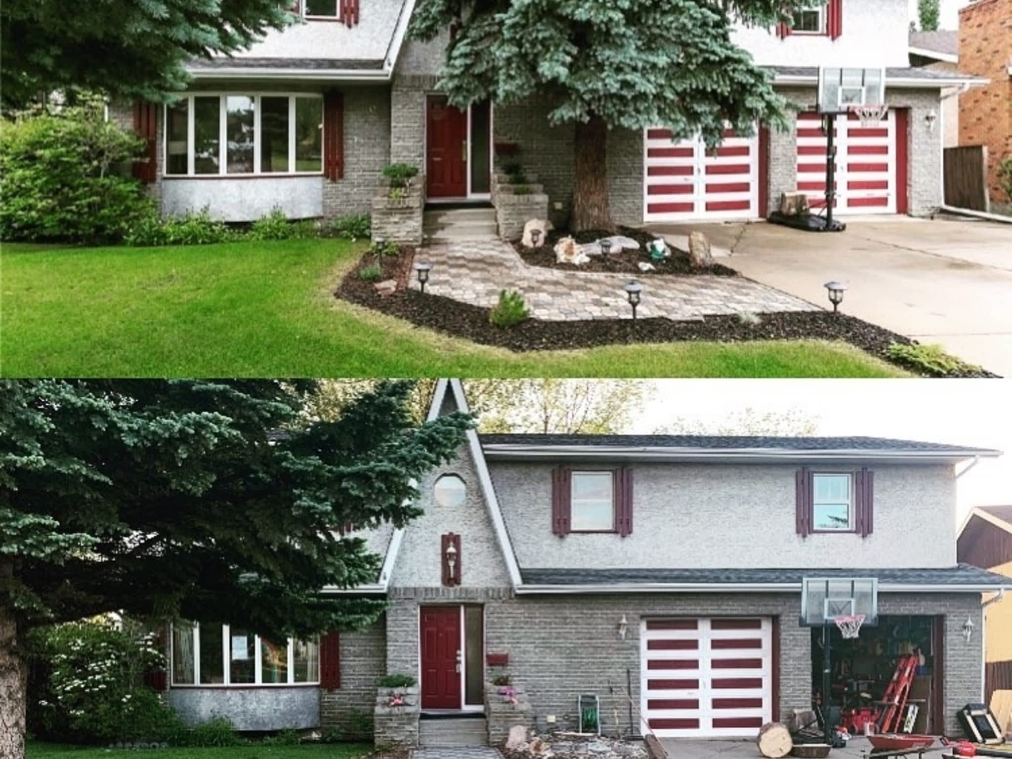 photo Elevated Tree Removal