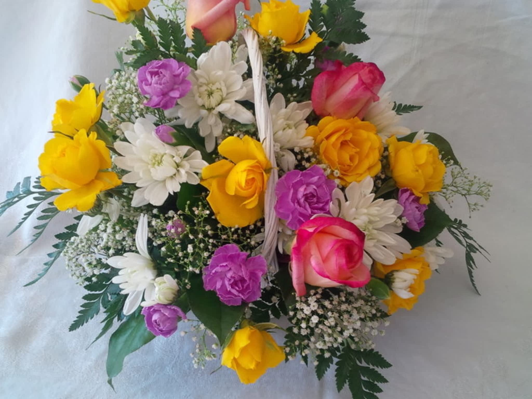 photo Sweetpea & Willow