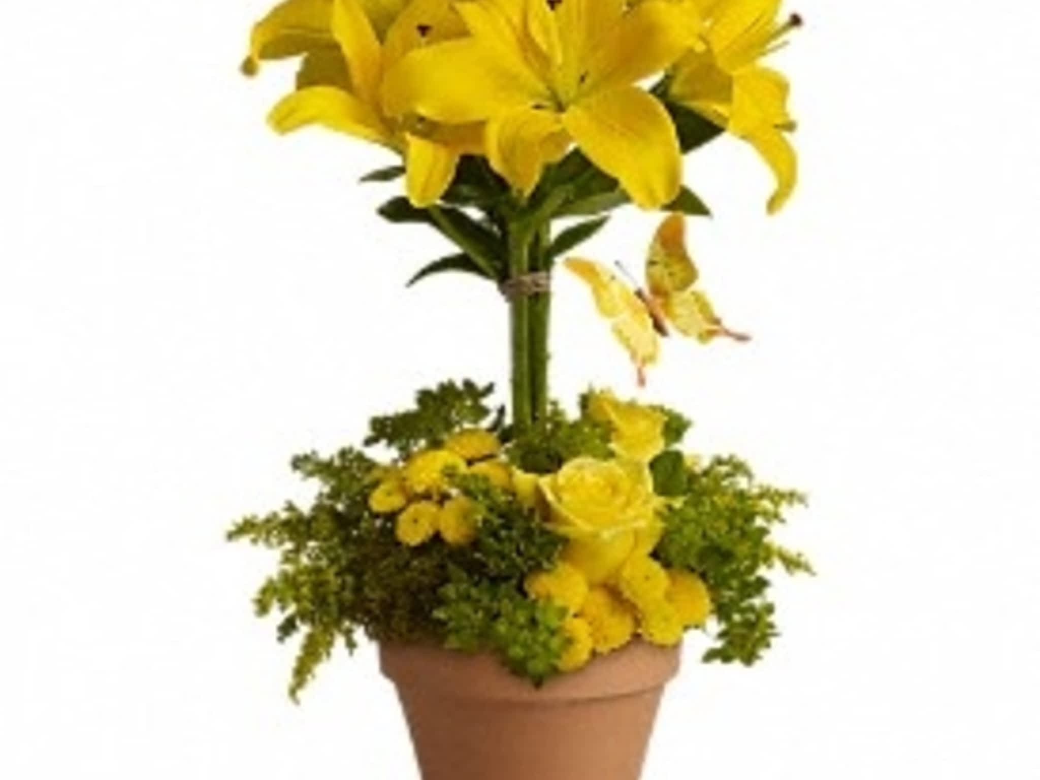 Rebecca's Flowers Yellowknife, NT 19100 Borden Dr Canpages