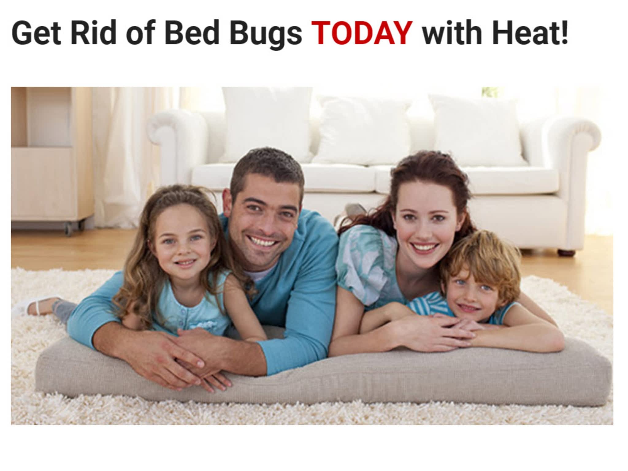 photo Bed Bugs Dead Bugs Inc.