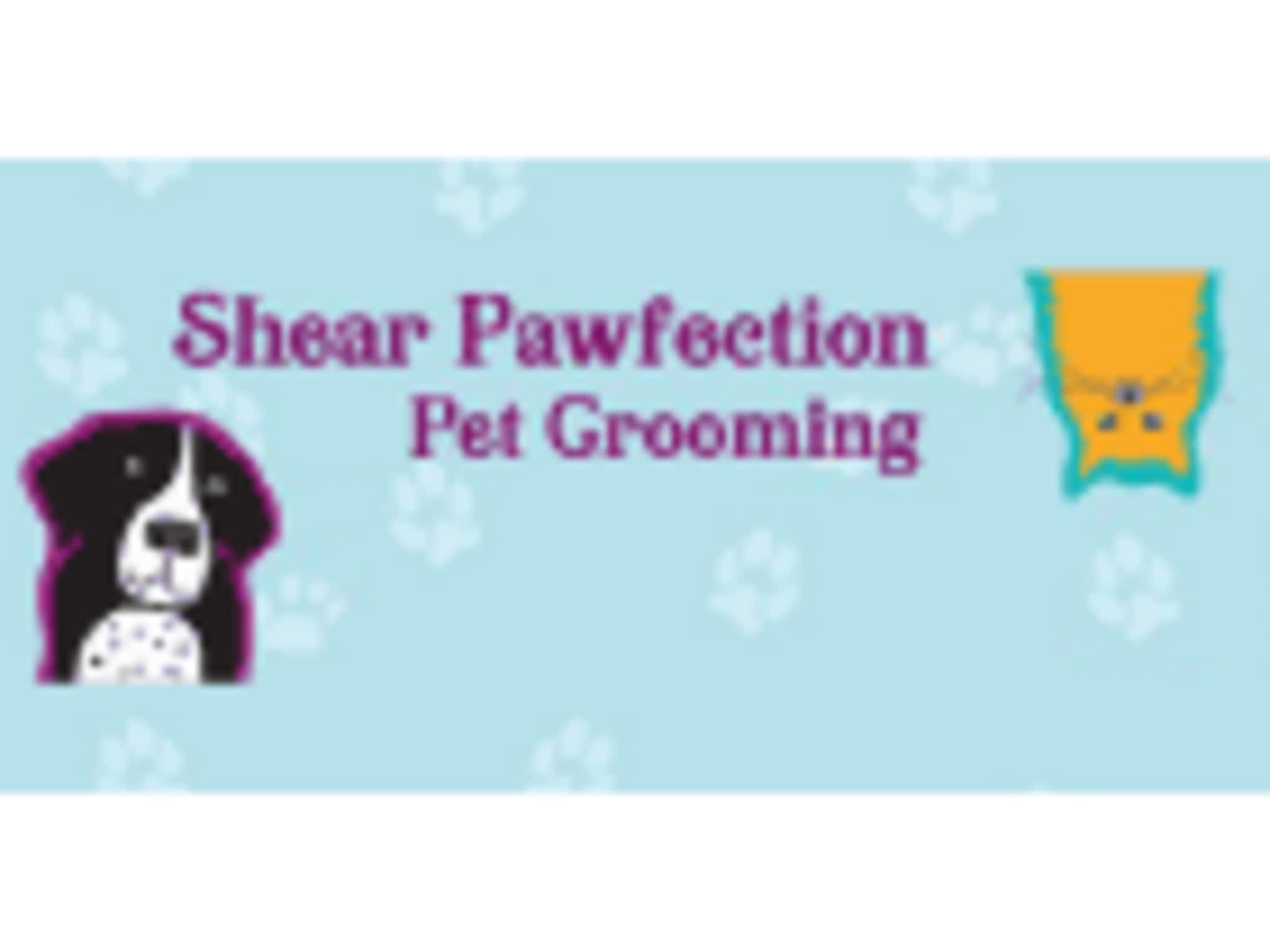 photo Shear Pawfection Pet Grooming