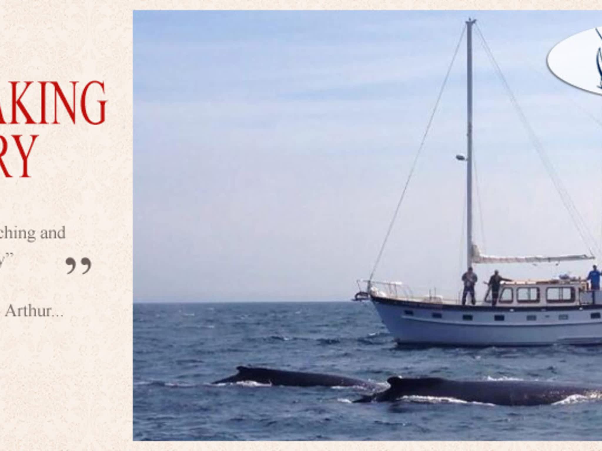 photo Atlantic Adventures