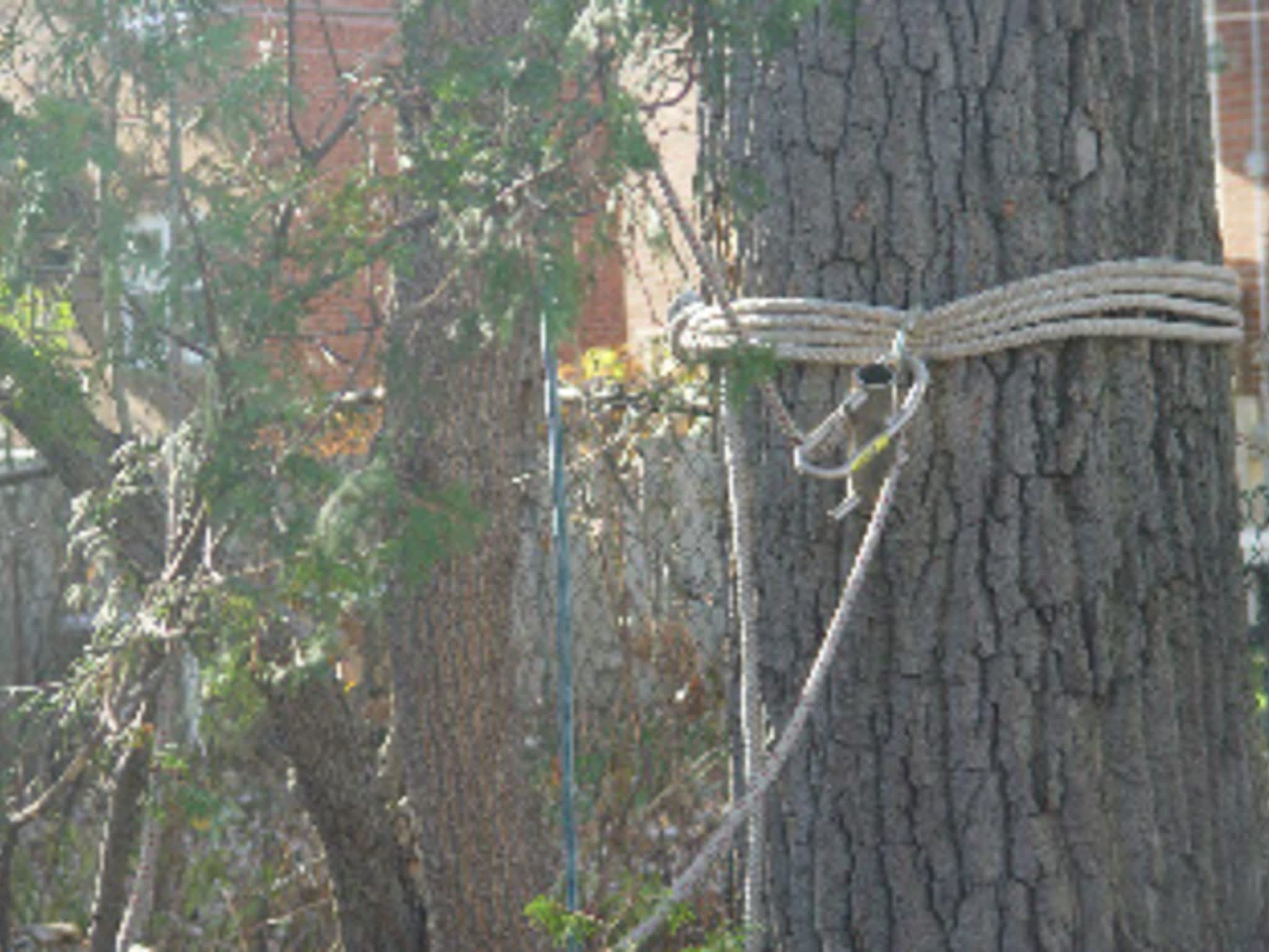 photo Arbo Tech 2002