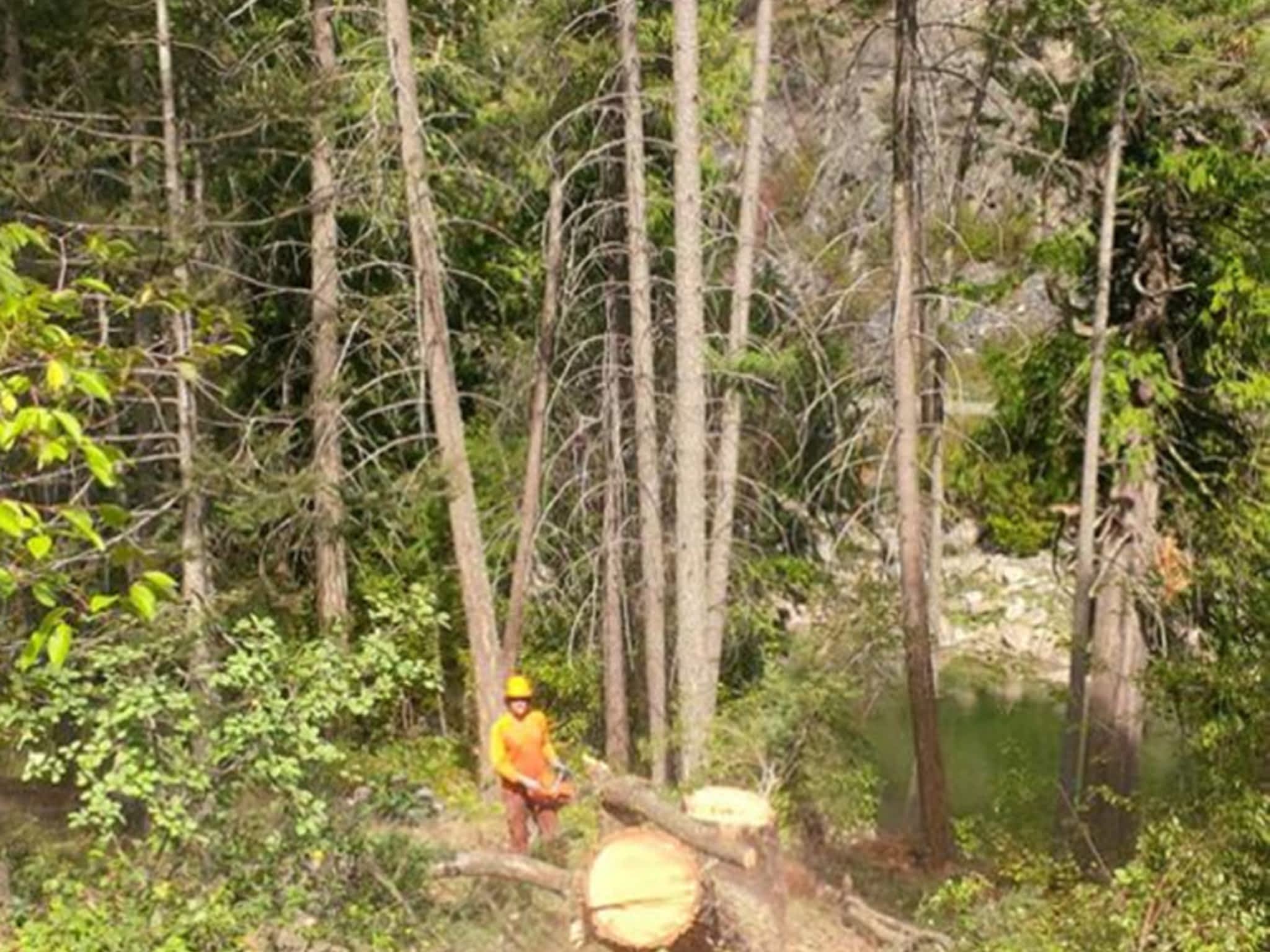 photo Gaudet Tree Services