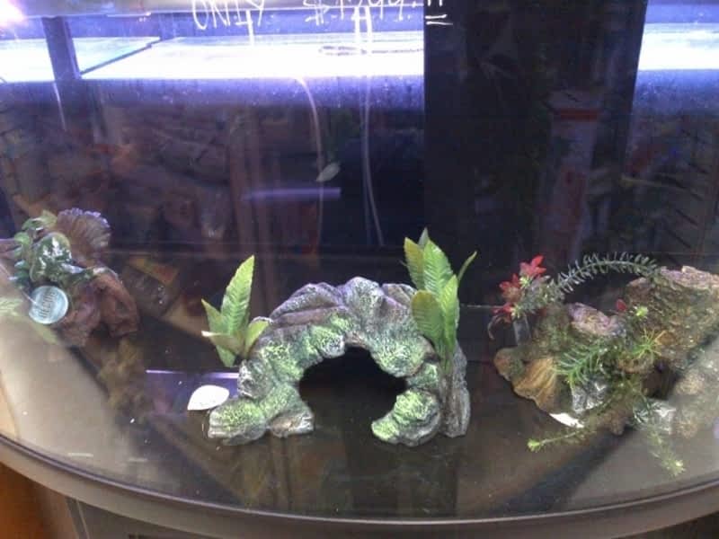 Nestor's Aquariums & Pets Winnipeg, MB 1045R St James St Canpages