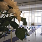 Yoga Vieux Montréal - Écoles et cours de yoga