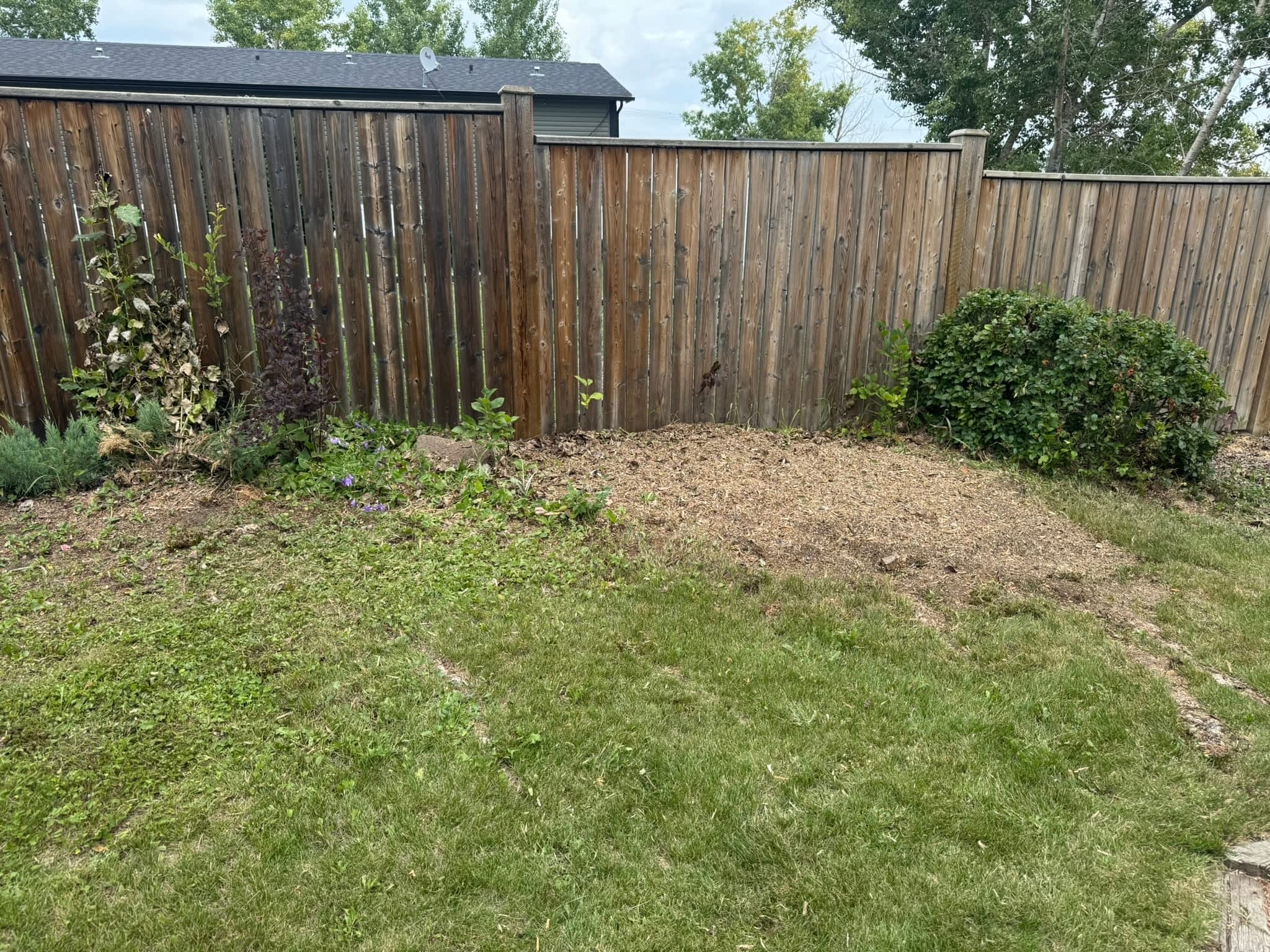 photo KAOS Inc - Tree Services