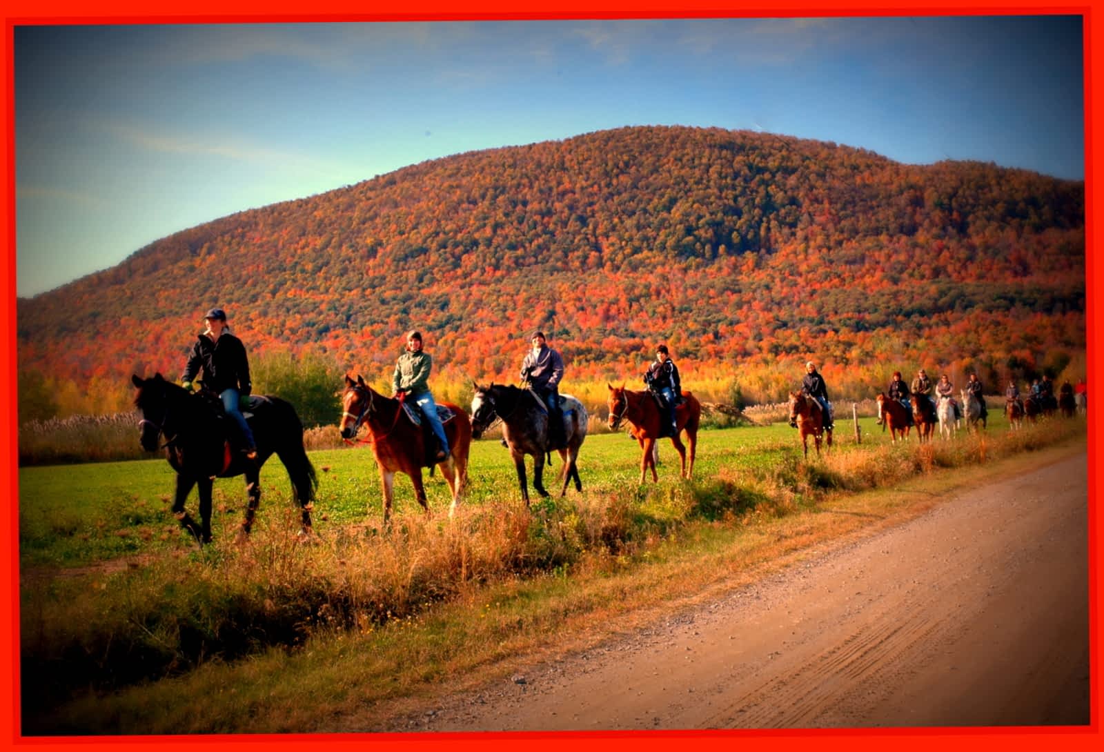 Equitation nouvelle france Clearance