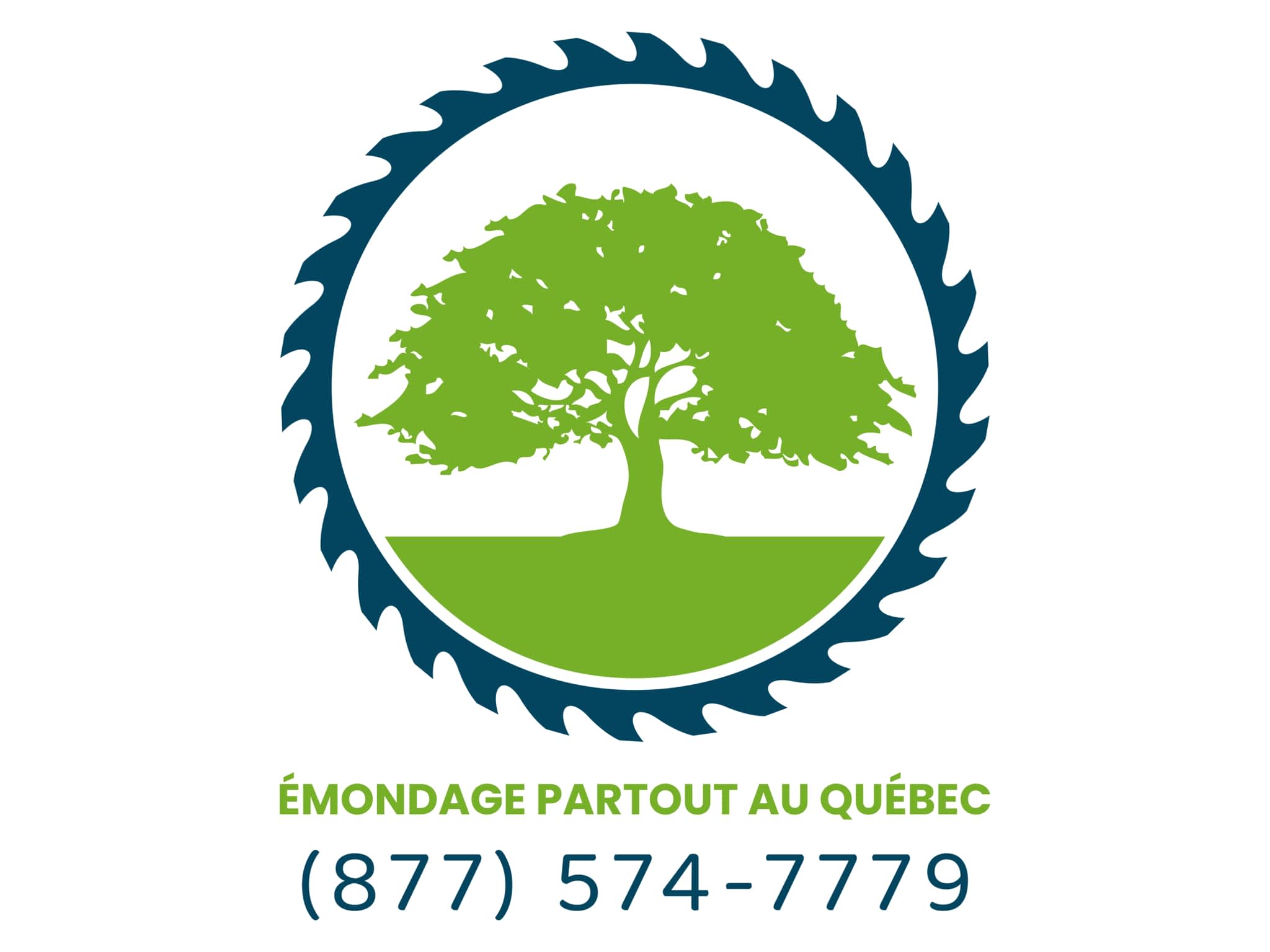 photo Émondage Partout au Québec