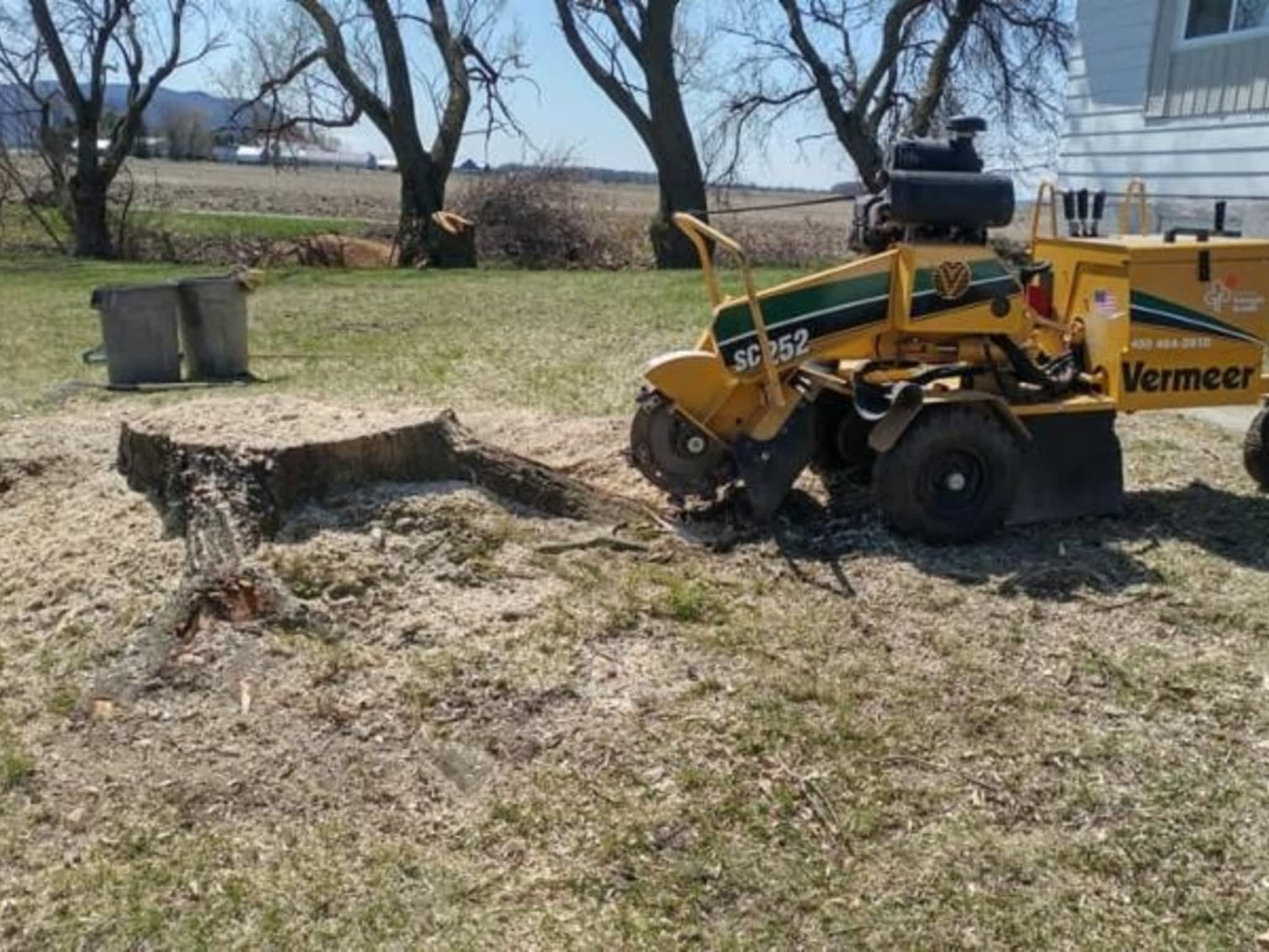 photo Émondage Félix Burelle