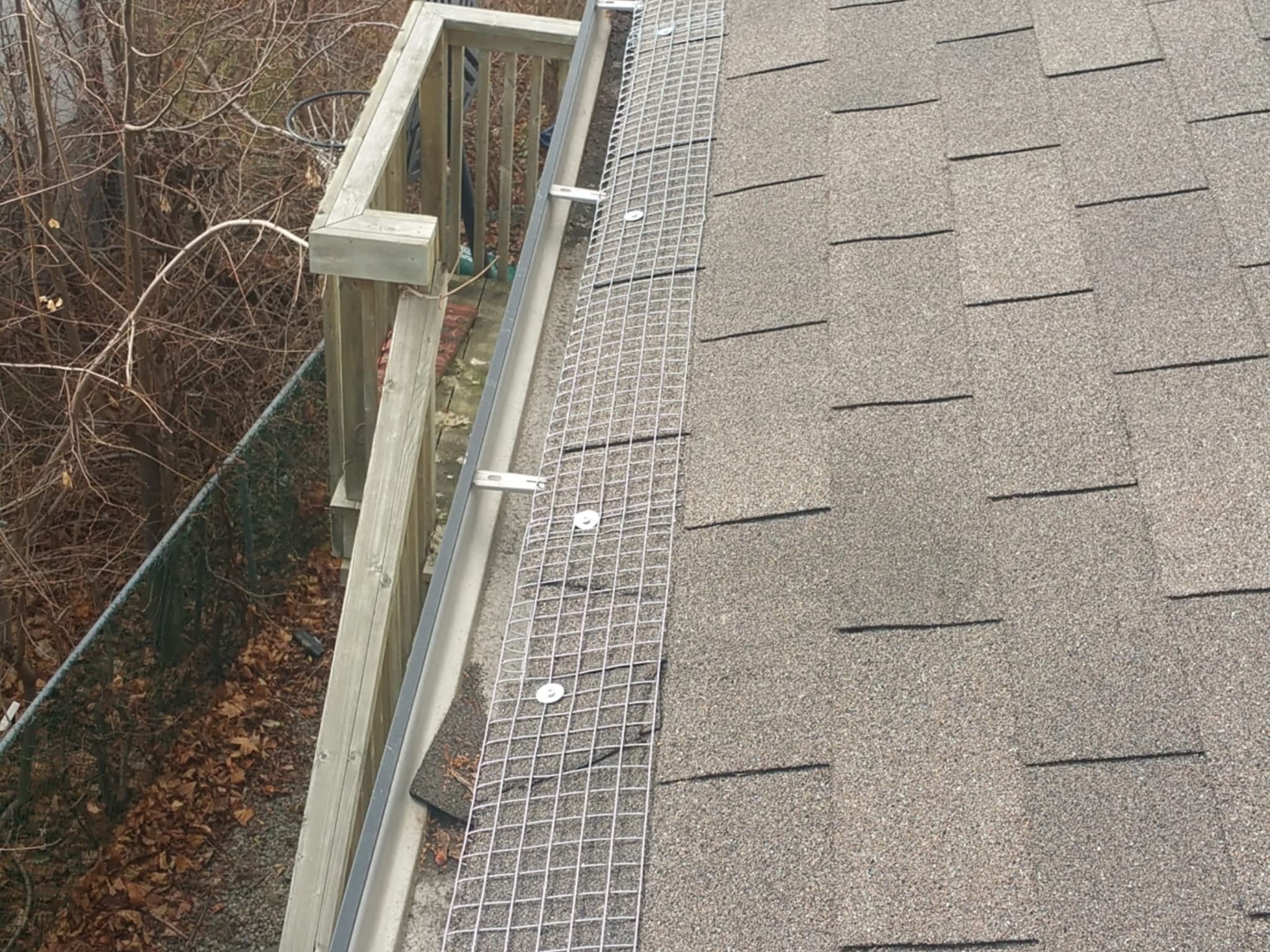 photo Liddle Rascals