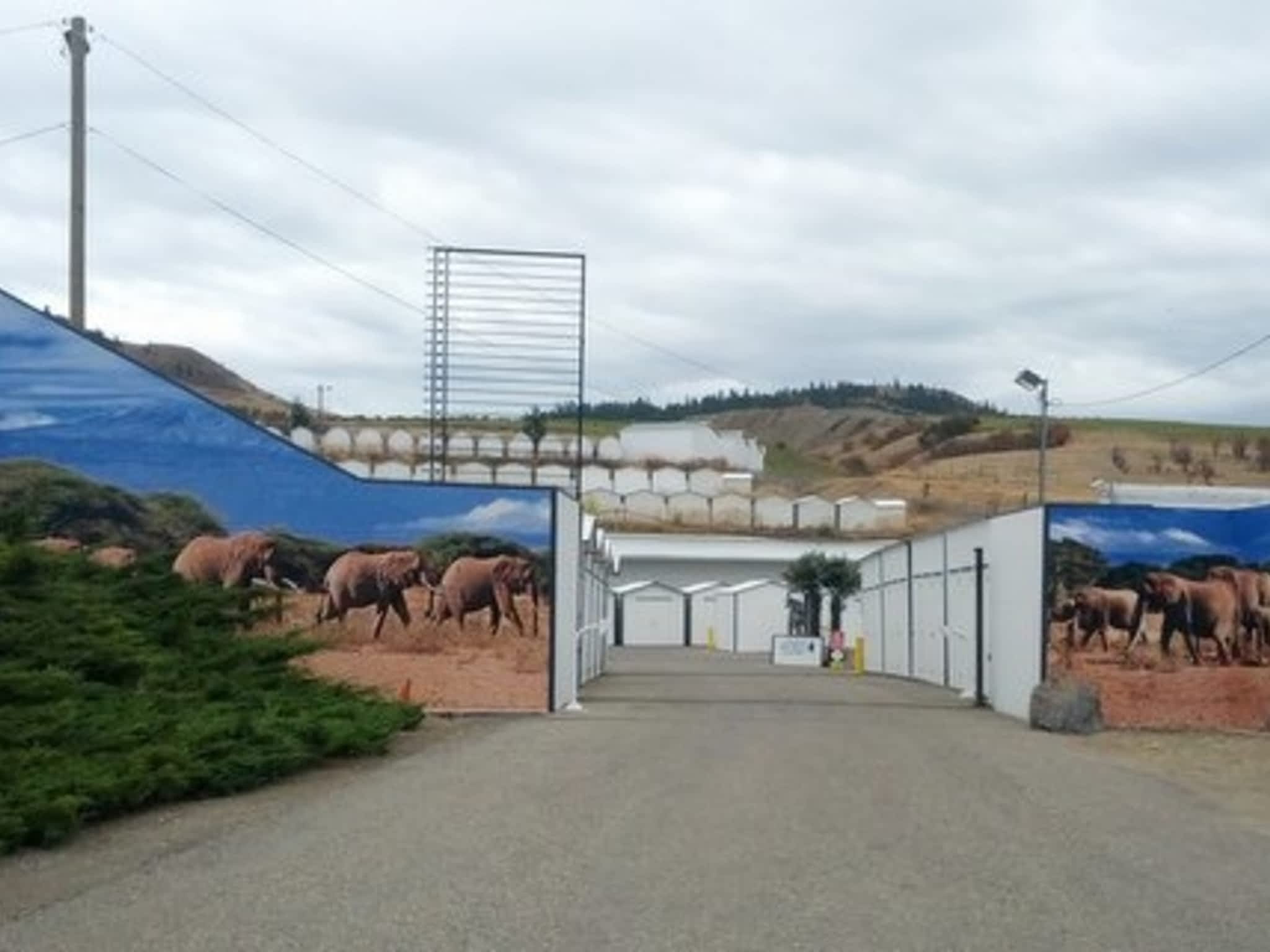 photo Elephant Storage Centre