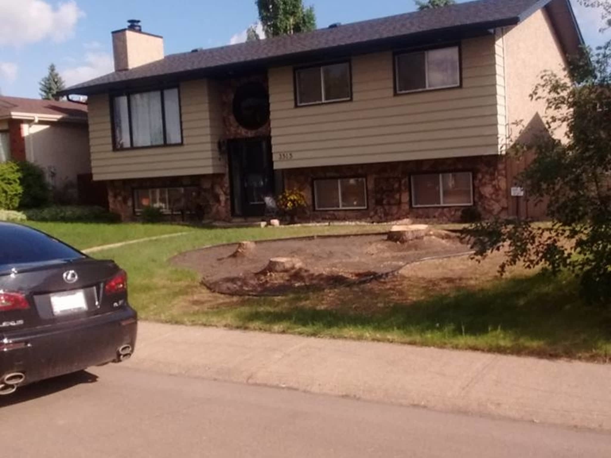 photo Tree Solutions