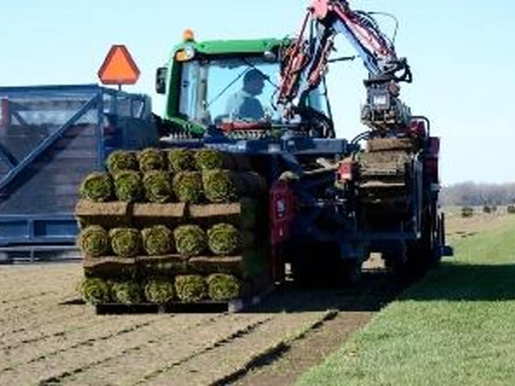 photo Queensville Sod Farms Limited