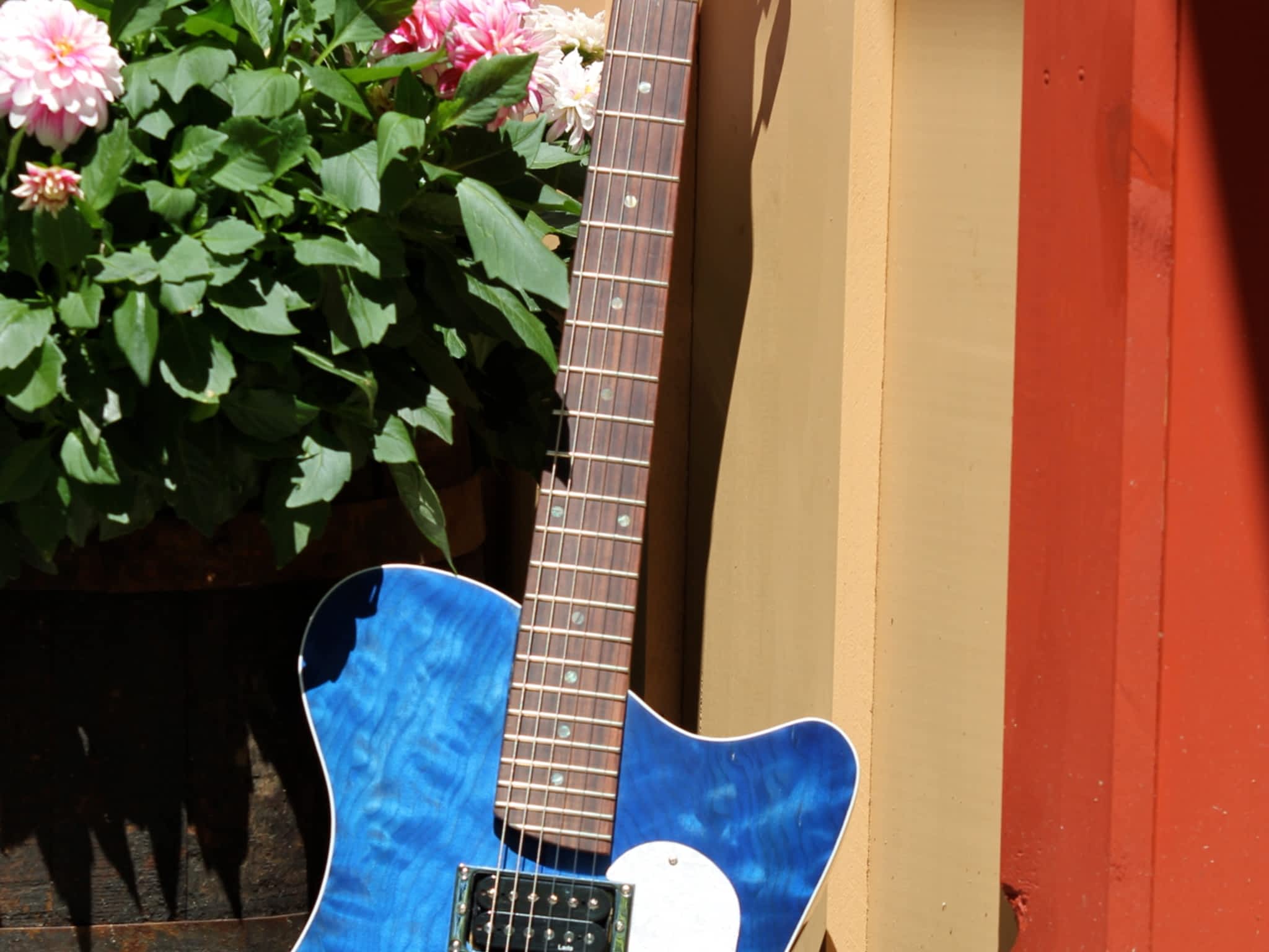 photo Cithara Guitars Inc