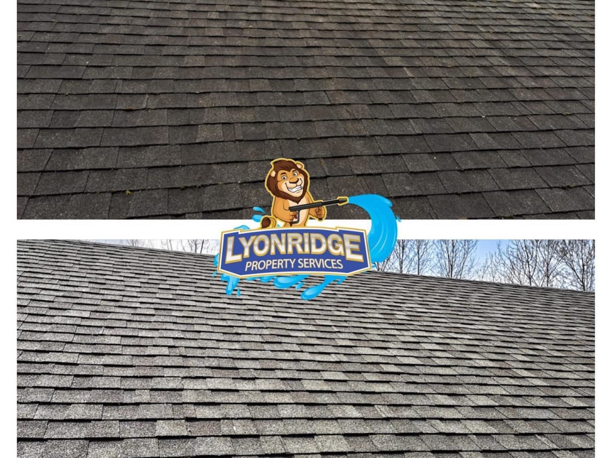 photo Lyonridge Property Services