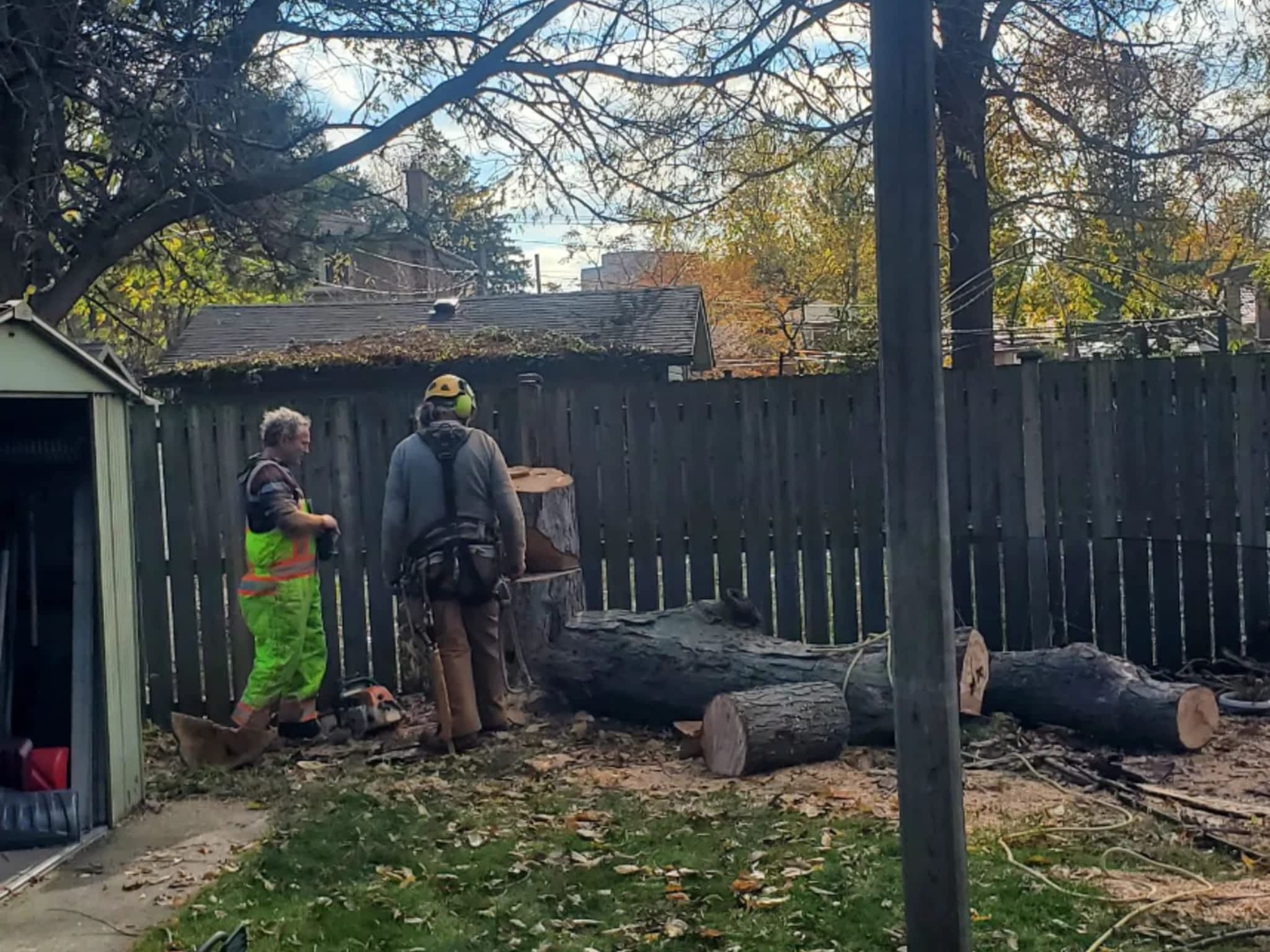 photo Lawn Wizard Tree & Property Maintenance