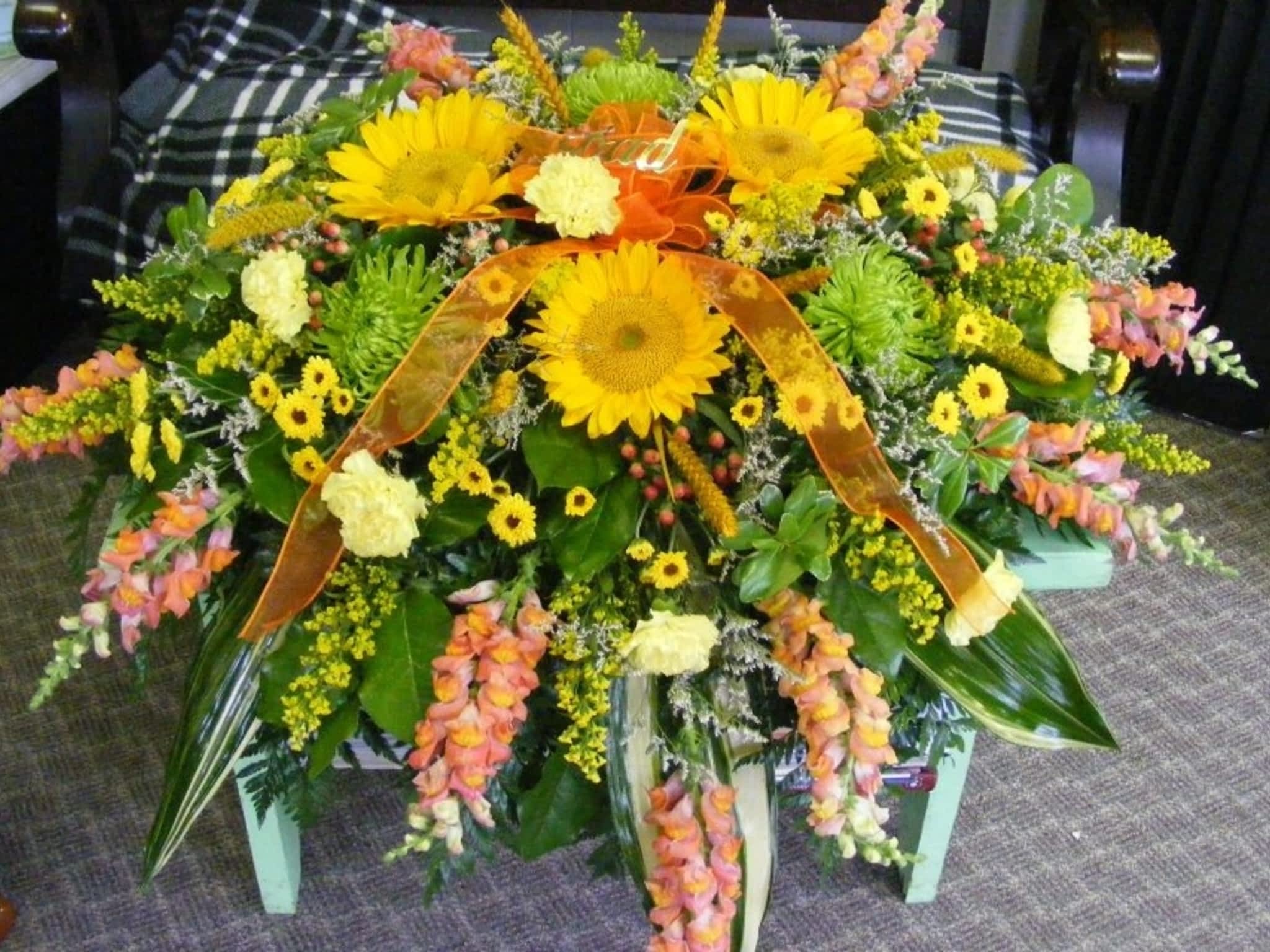 photo Blooms Flowers