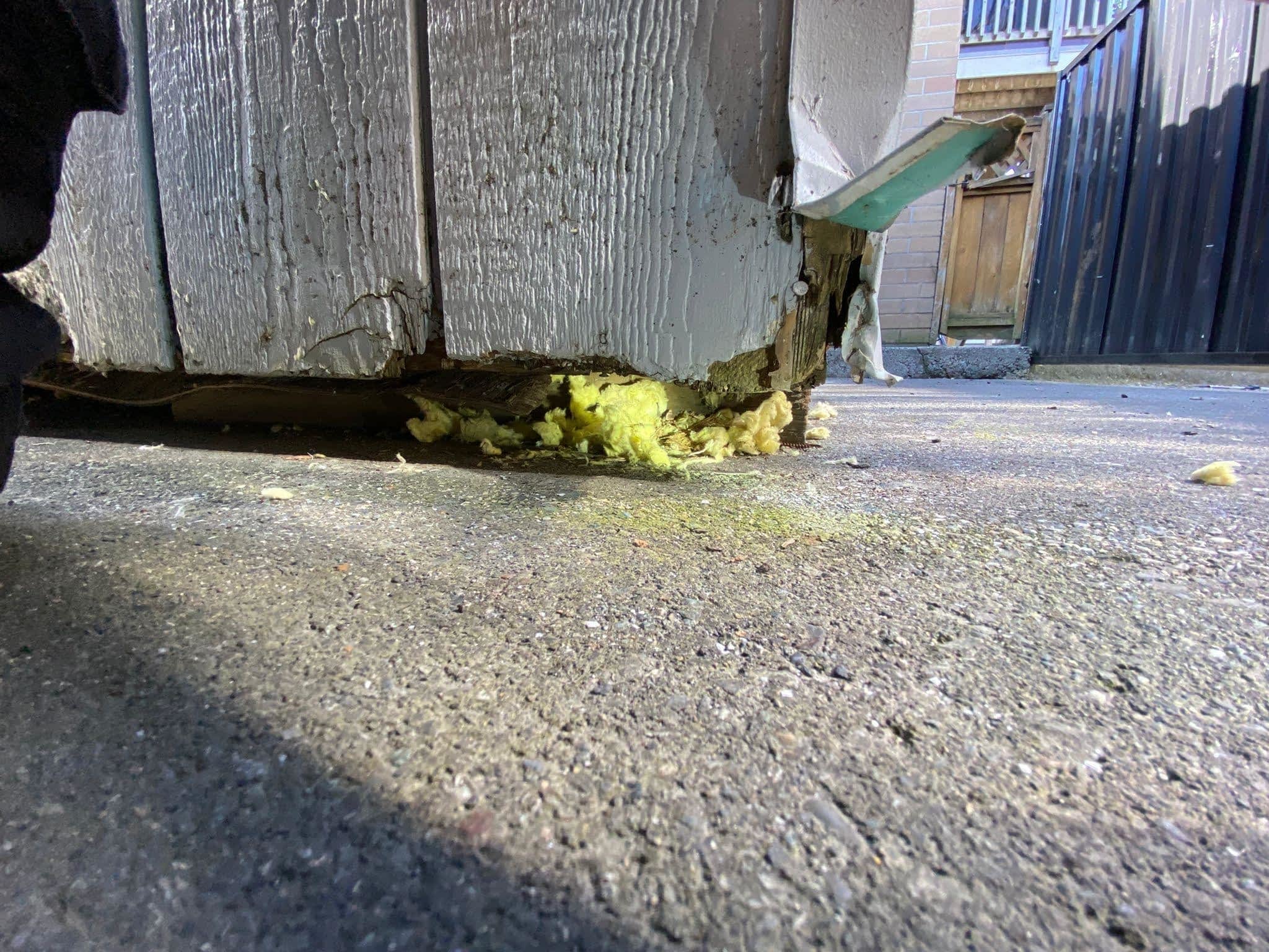 photo Phantom Pest Control Maple Ridge