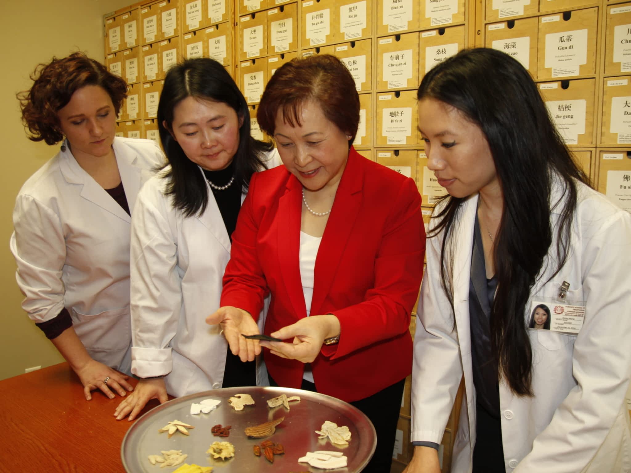 photo Toronto School of Traditional Chinese Medicine