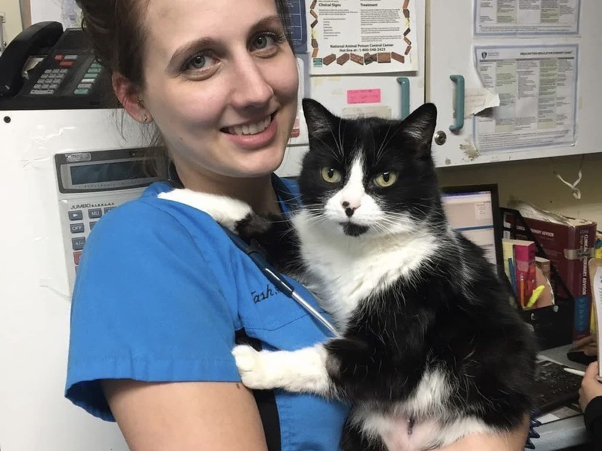 photo Cavan Hills Veterinary Services