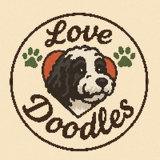Lovedoodles - Dog Breeders