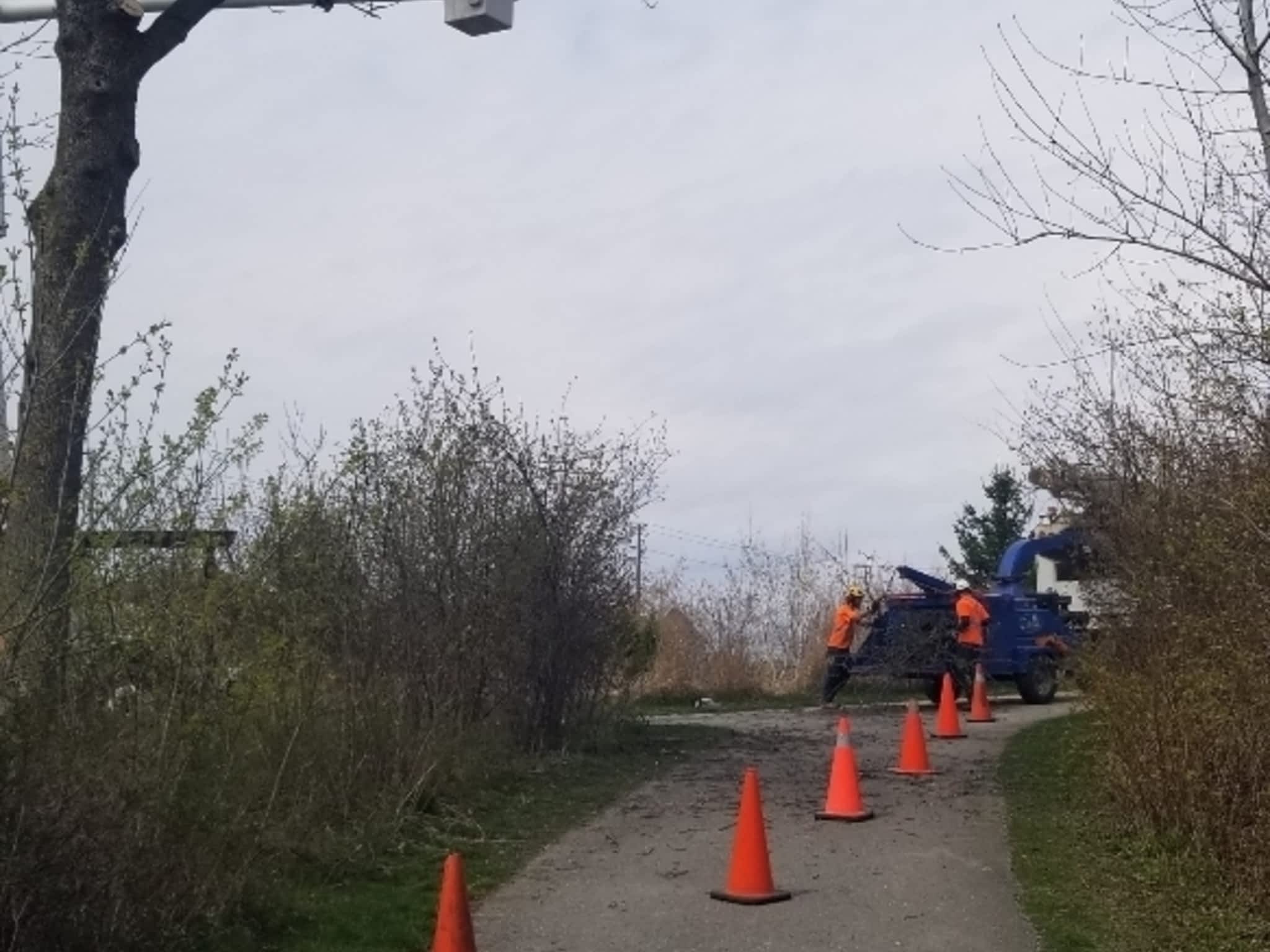 photo Colonial Tree Service