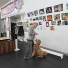 Club Canin La Laisse D'Or - Dressage et éducation d'animaux de compagnie
